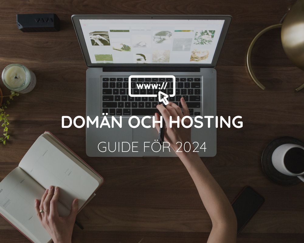 Guide för domäner och hosting 2024